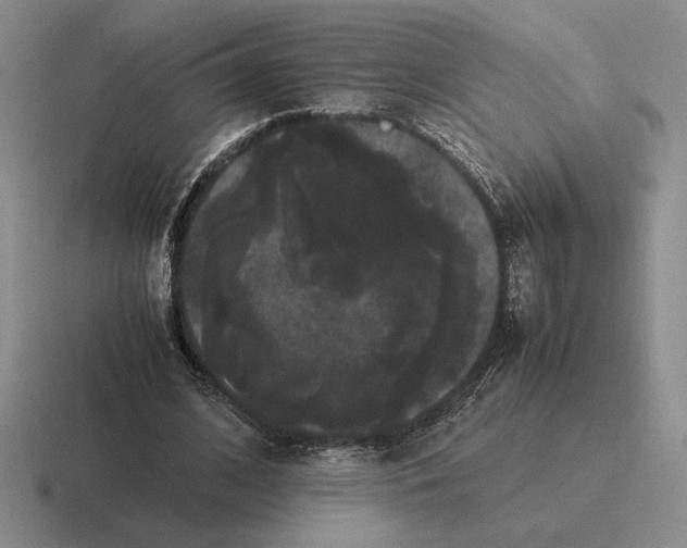 X0000116440584201001051206