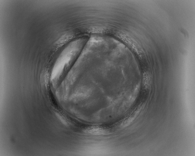 X0000116440589201001051206