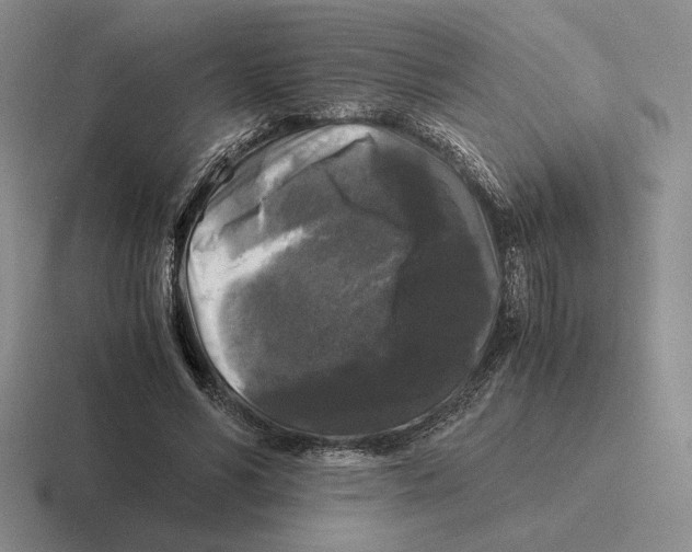 X0000116440590201001051206