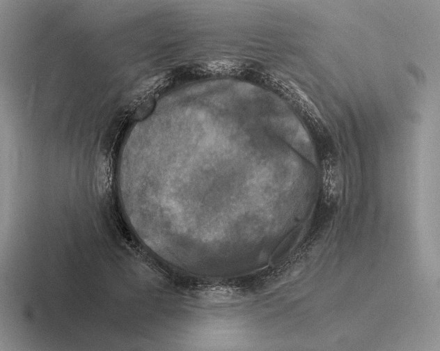 X0000116440593201001051206