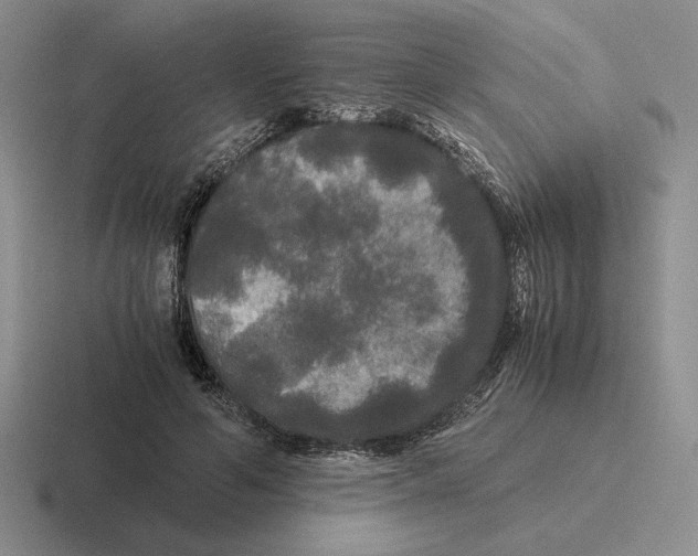 X0000116440594201001051206