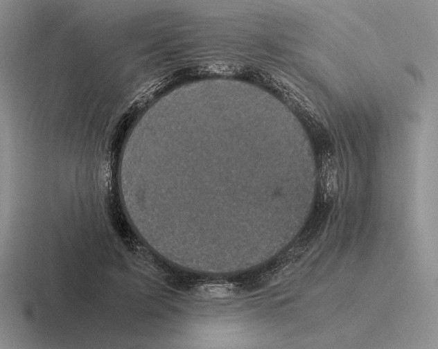 X0000116440595201001051206