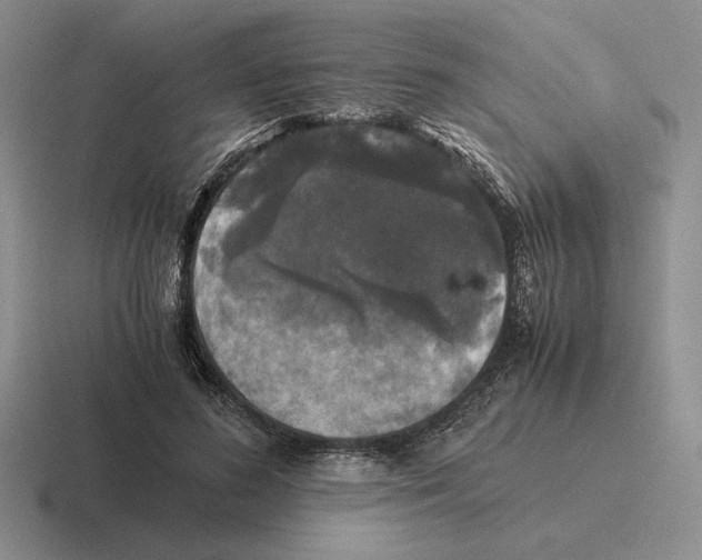 X0000116440596201001051206