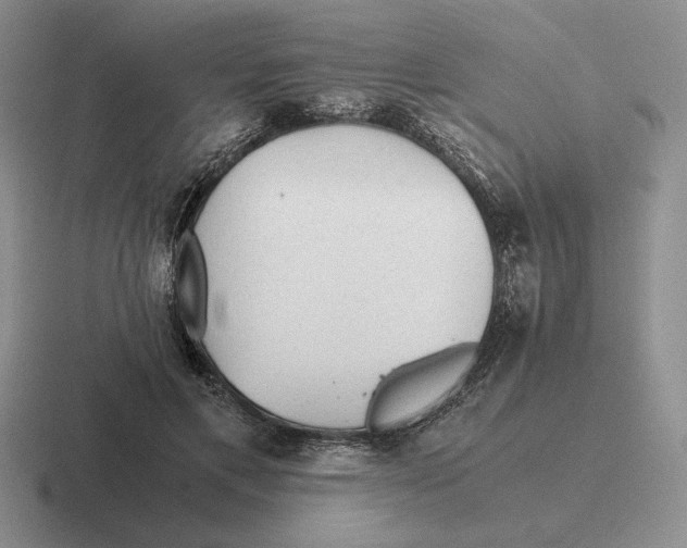 X0000116440597201001051206