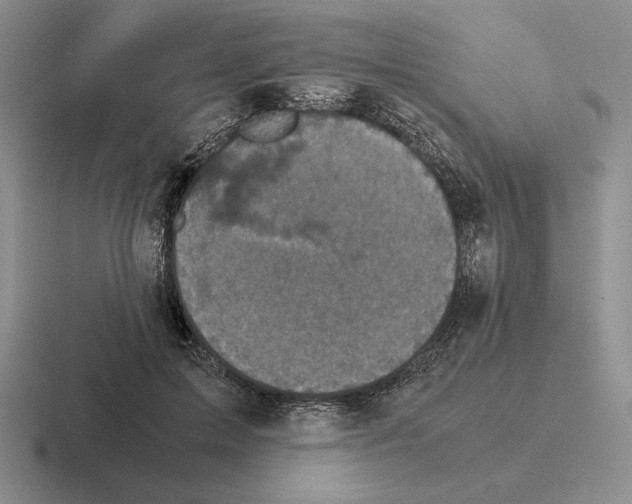 X0000116440599201001051206