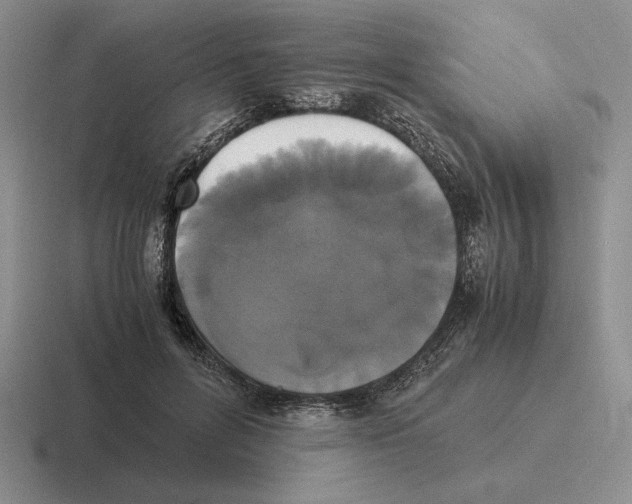 X0000116440600201001051206