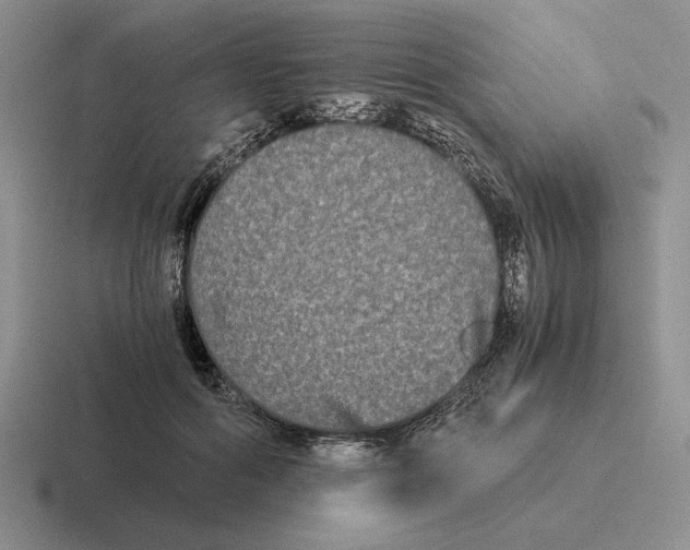 X0000116440602201001051206