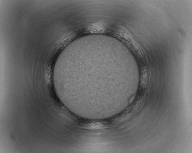 X0000116440604201001051206