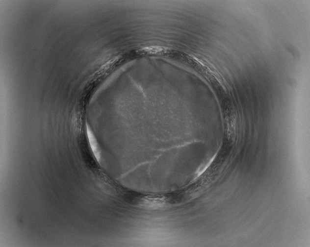 X0000116440606201001051206