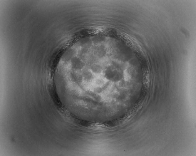 X0000116440607201001051206