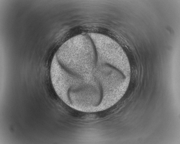 X0000116440609201001051206