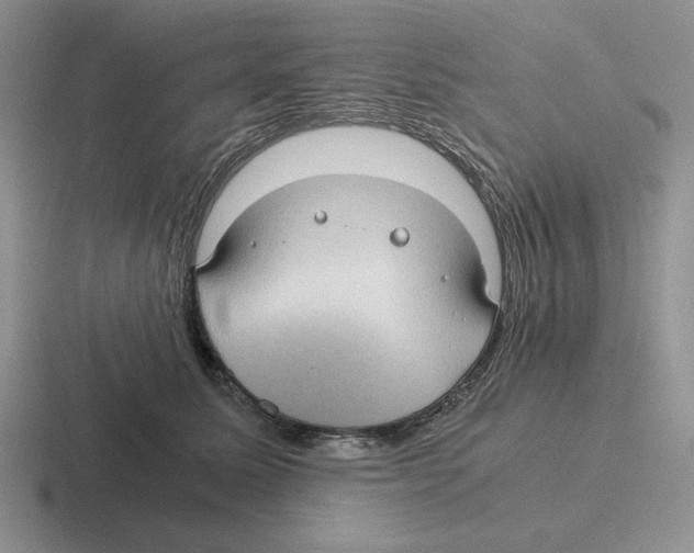 X0000116440611201001051206