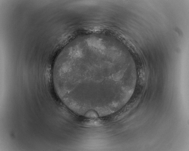 X0000116440612201001051206