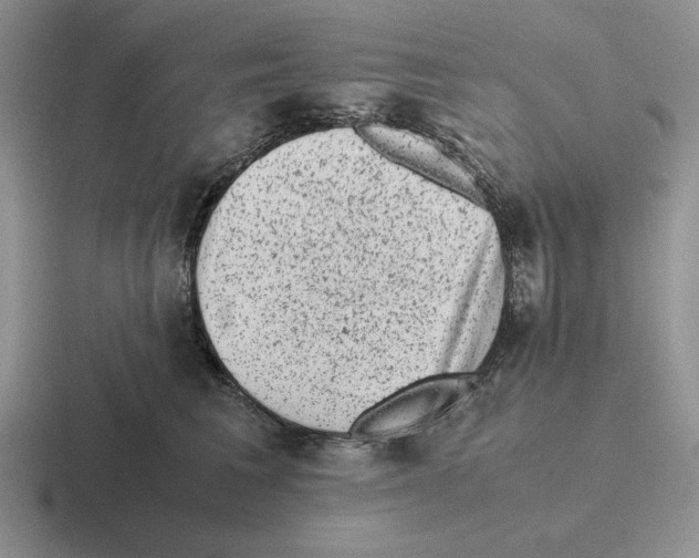 X0000116440613201001051206