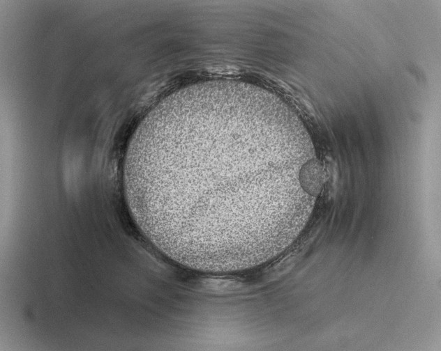 X0000116440614201001051206