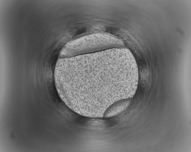 X0000116440617201001051206