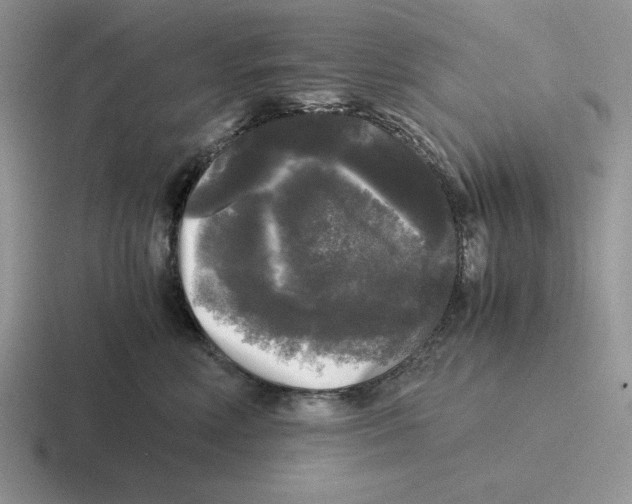 X0000116440618201001051206