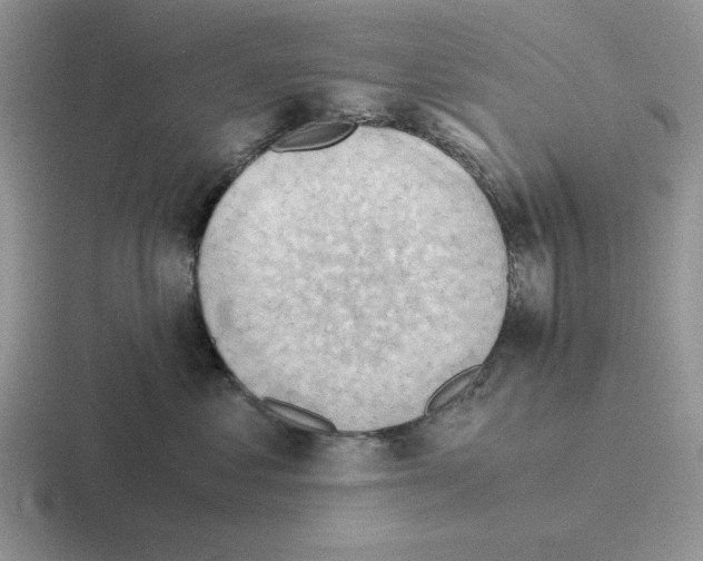 X0000116440621201001051206