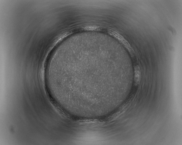 X0000116440626201001051205