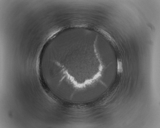 X0000116440627201001051205