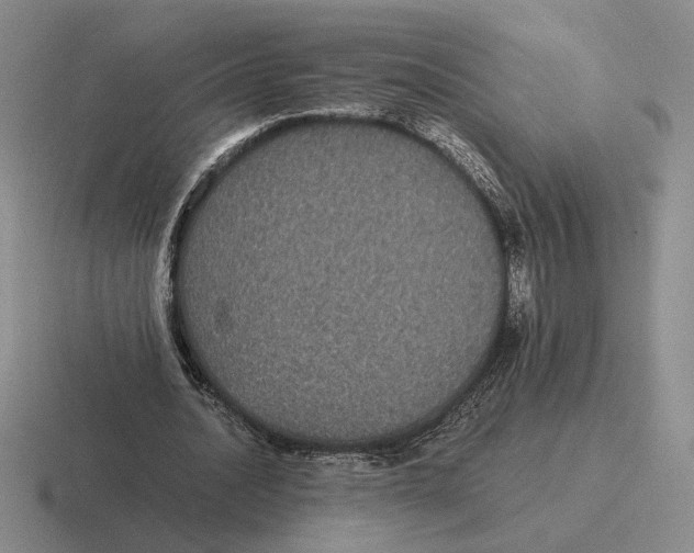 X0000116440628201001051205