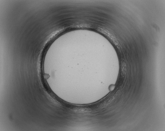 X0000116440629201001051205