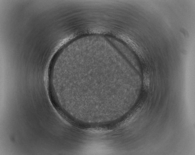 X0000116440630201001051205