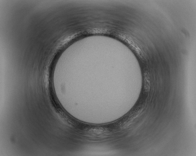 X0000116440631201001051205