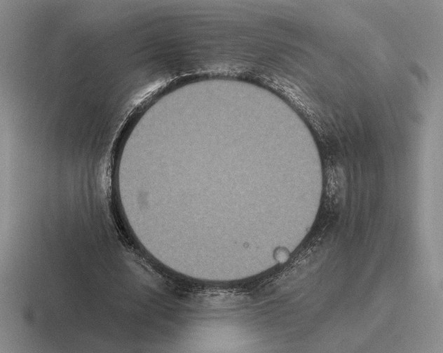 X0000116440632201001051205