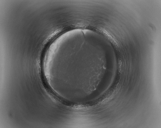 X0000116440634201001051205