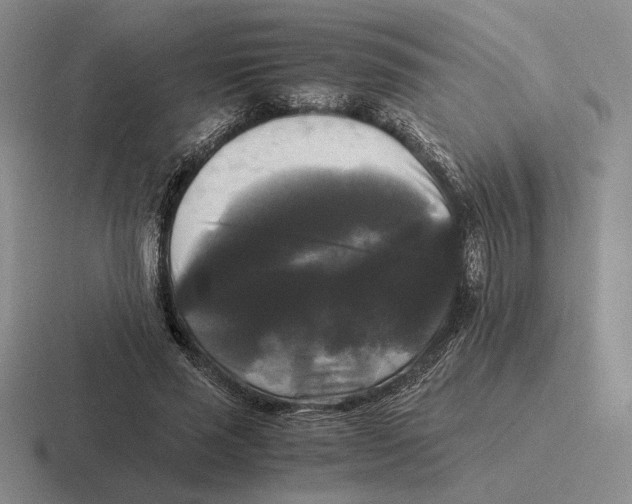 X0000116440637201001051205