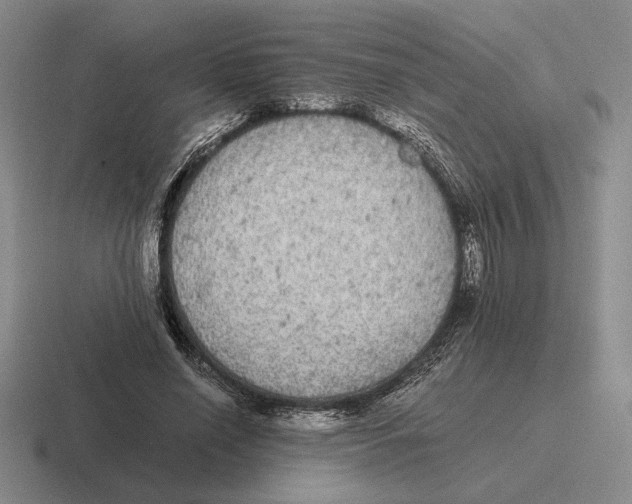 X0000116440638201001051205