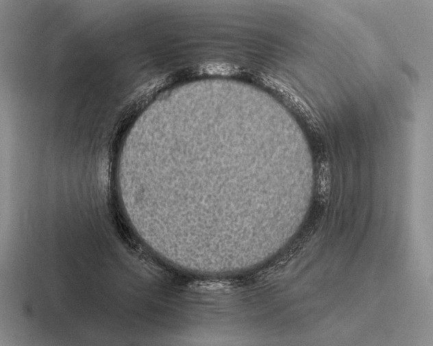 X0000116440639201001051205