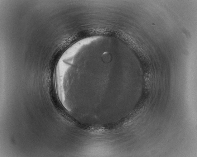 X0000116440642201001051205