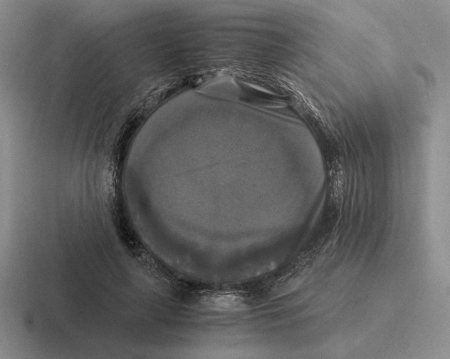 X0000116440643201001051205