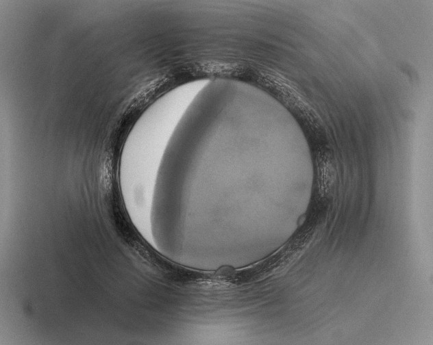 X0000116440644201001051205