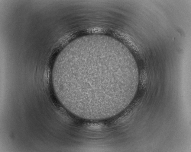 X0000116440645201001051205