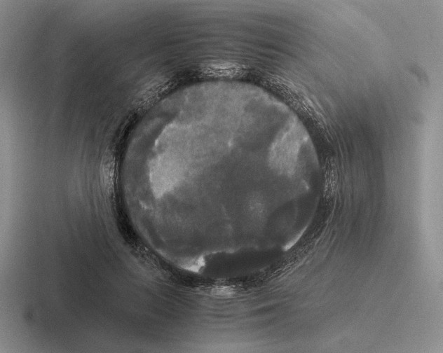 X0000116440647201001051205