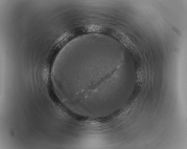 X0000116440648201001051205