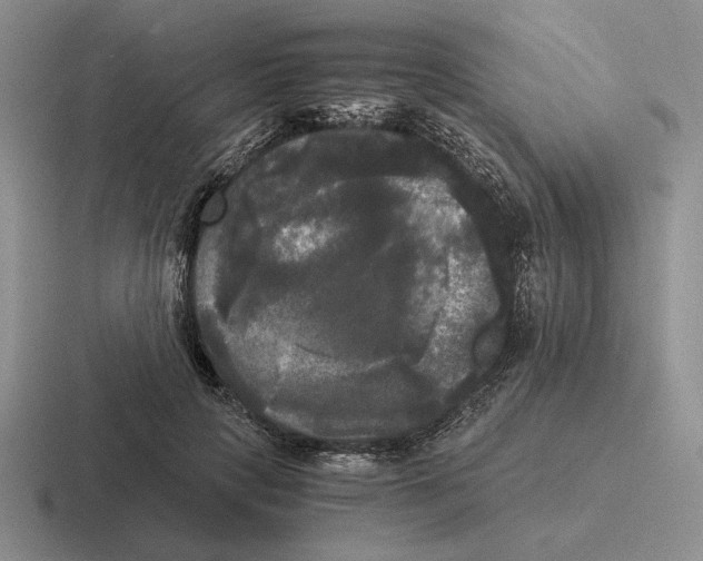 X0000116440649201001051205