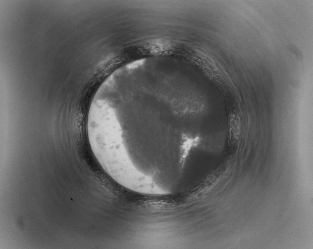 X0000116440650201001051205