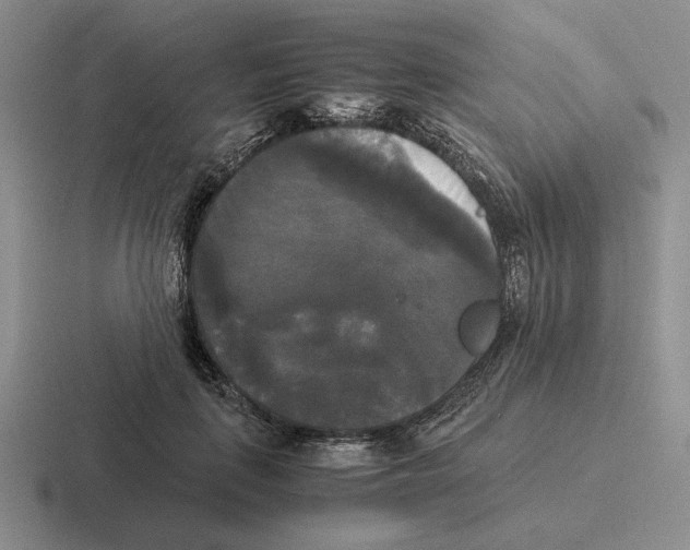 X0000116440651201001051206