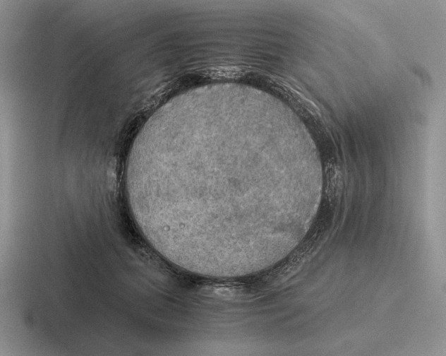 X0000116440655201001051206