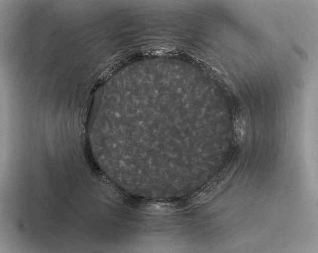 X0000116440657201001051206