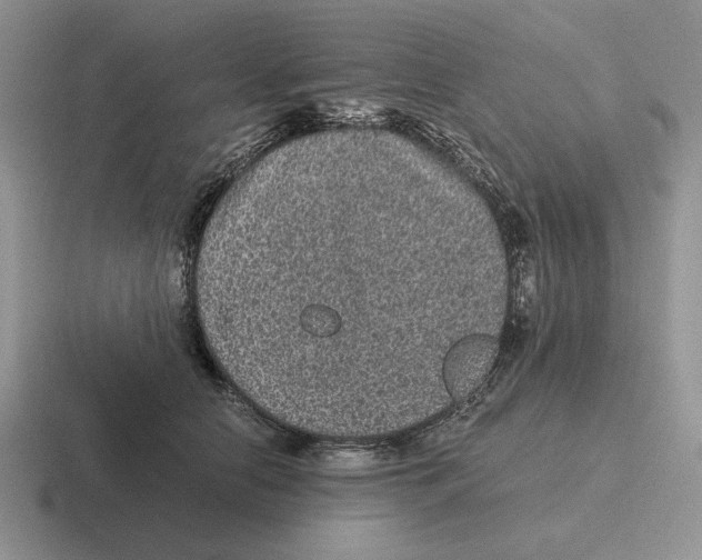 X0000116440658201001051206