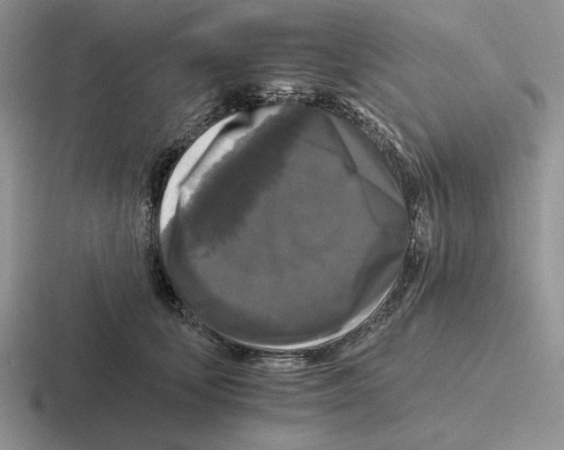 X0000116440659201001051206