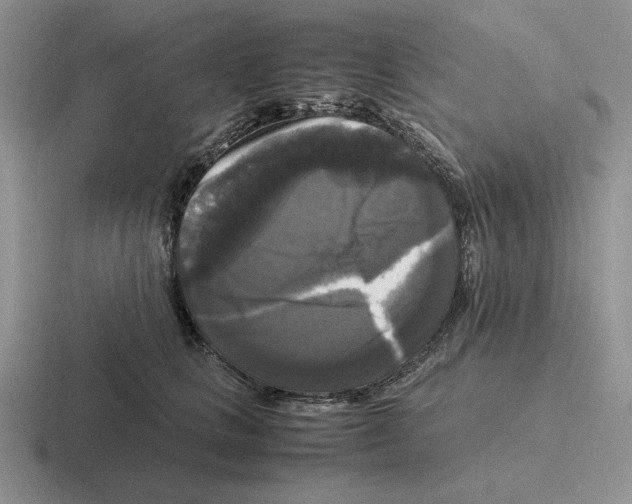 X0000116440661201001051206