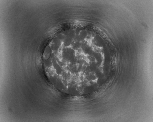 X0000116440663201001051206