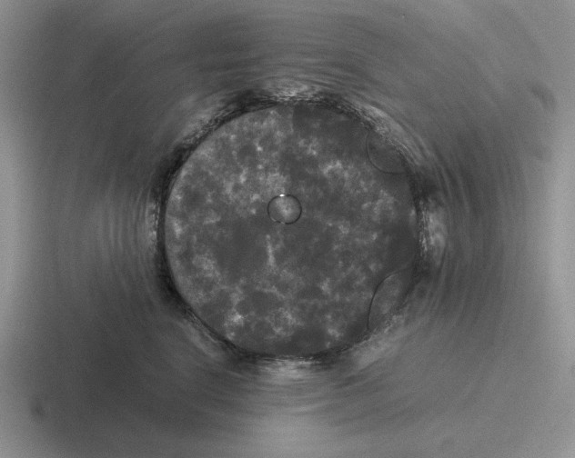 X0000116440664201001051206