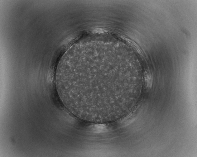 X0000116440665201001051206